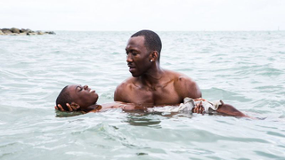 <i>Moonlight </i>destroyed all comers at the Independent Spirit Awards